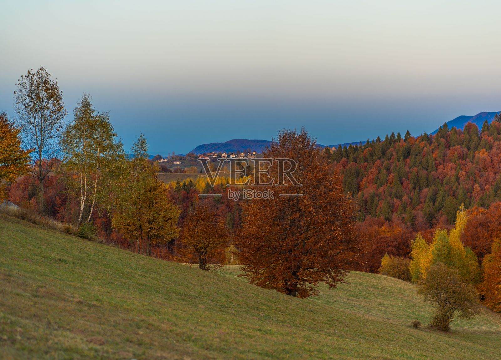 秋天的山丘与绚丽的树叶照片摄影图片