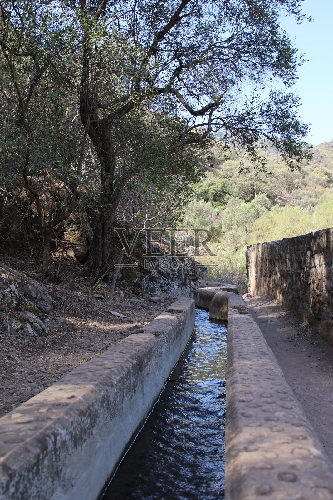 小水渠照片摄影图片