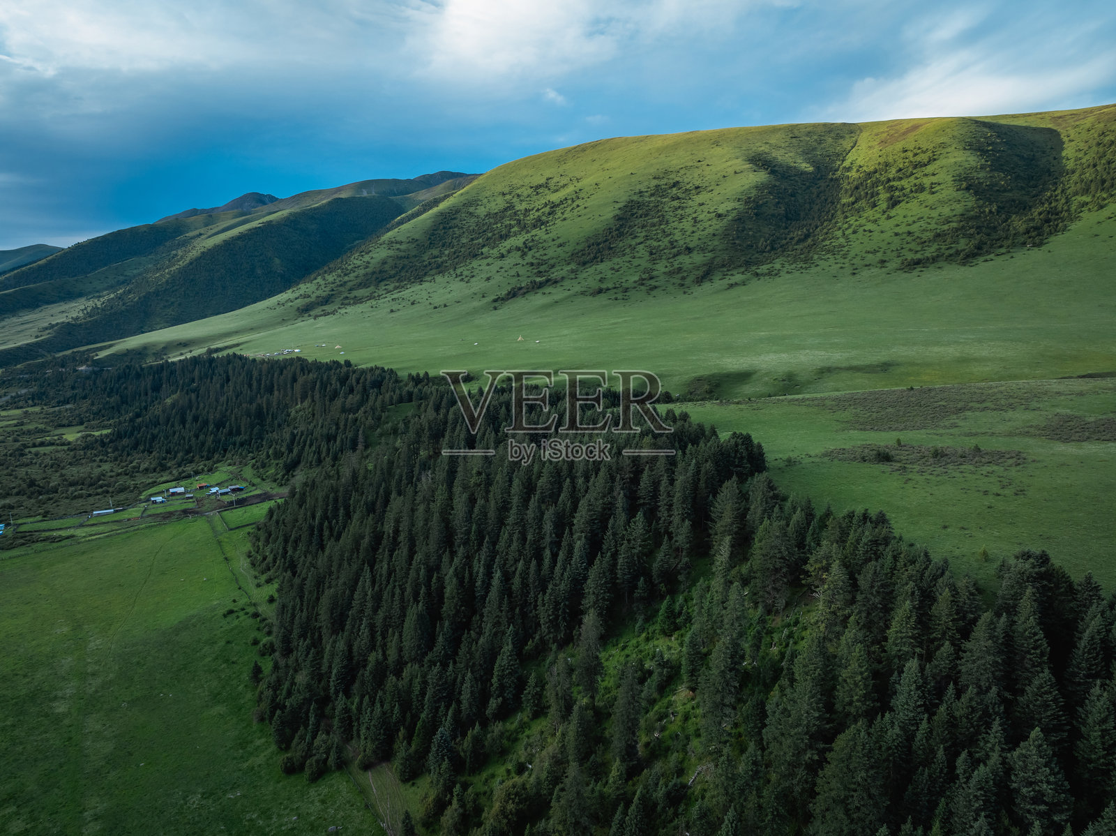 松树森林和草地山脉的鸟瞰图照片摄影图片