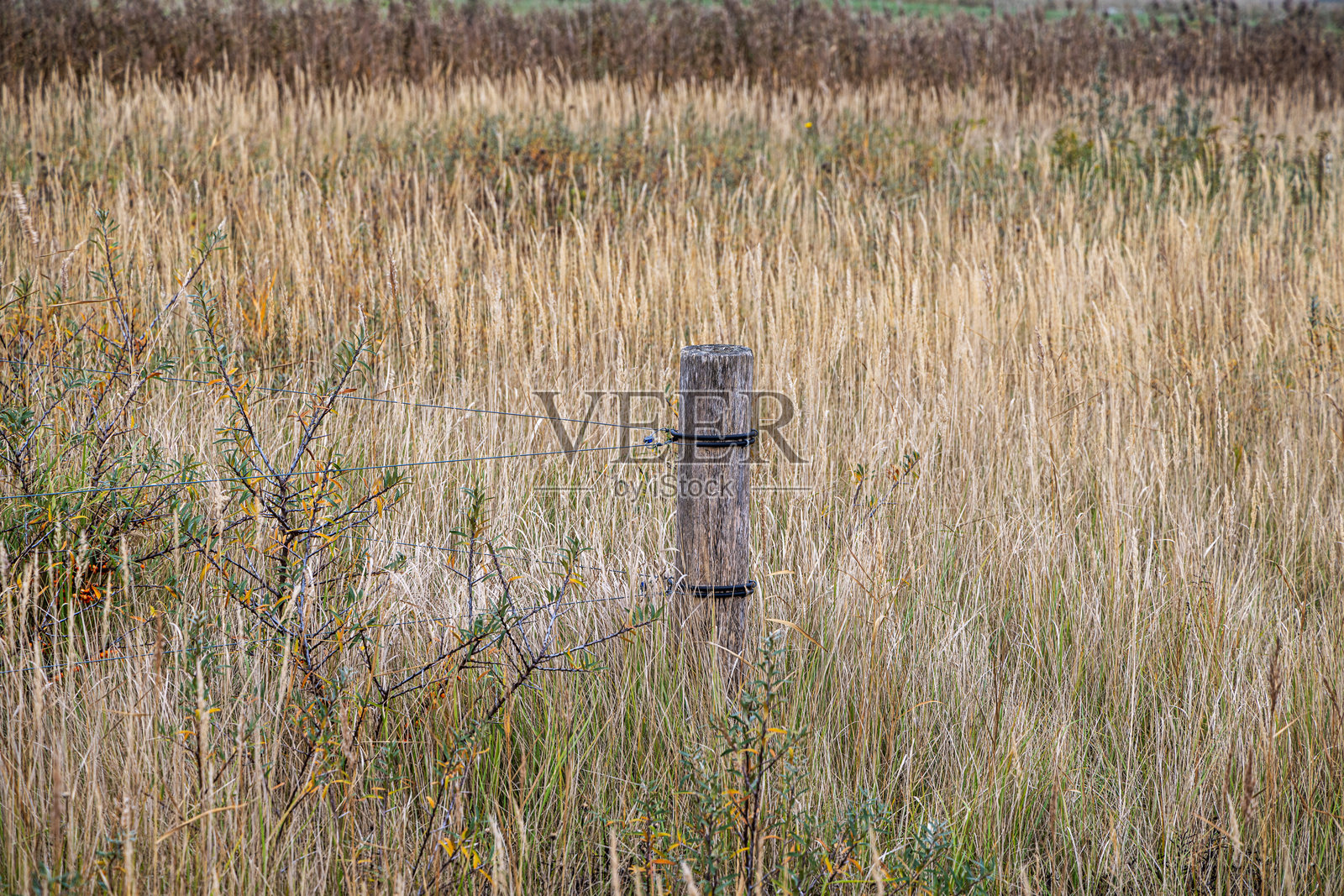 农业地区的围栏柱照片摄影图片