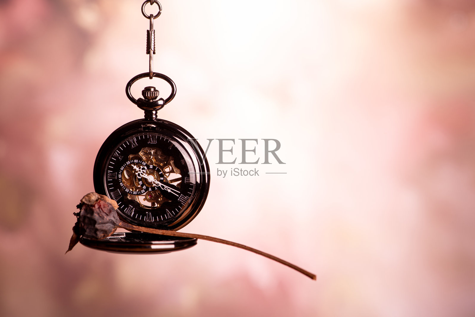 美丽的怀表和一朵枯萎的玫瑰,悬挂在链子上,抽象背景,选择性对焦。照片摄影图片