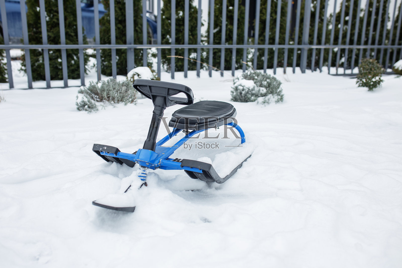 蓝色雪橇静静地躺在厚厚的雪中,四周被松树和灌木环绕。照片摄影图片