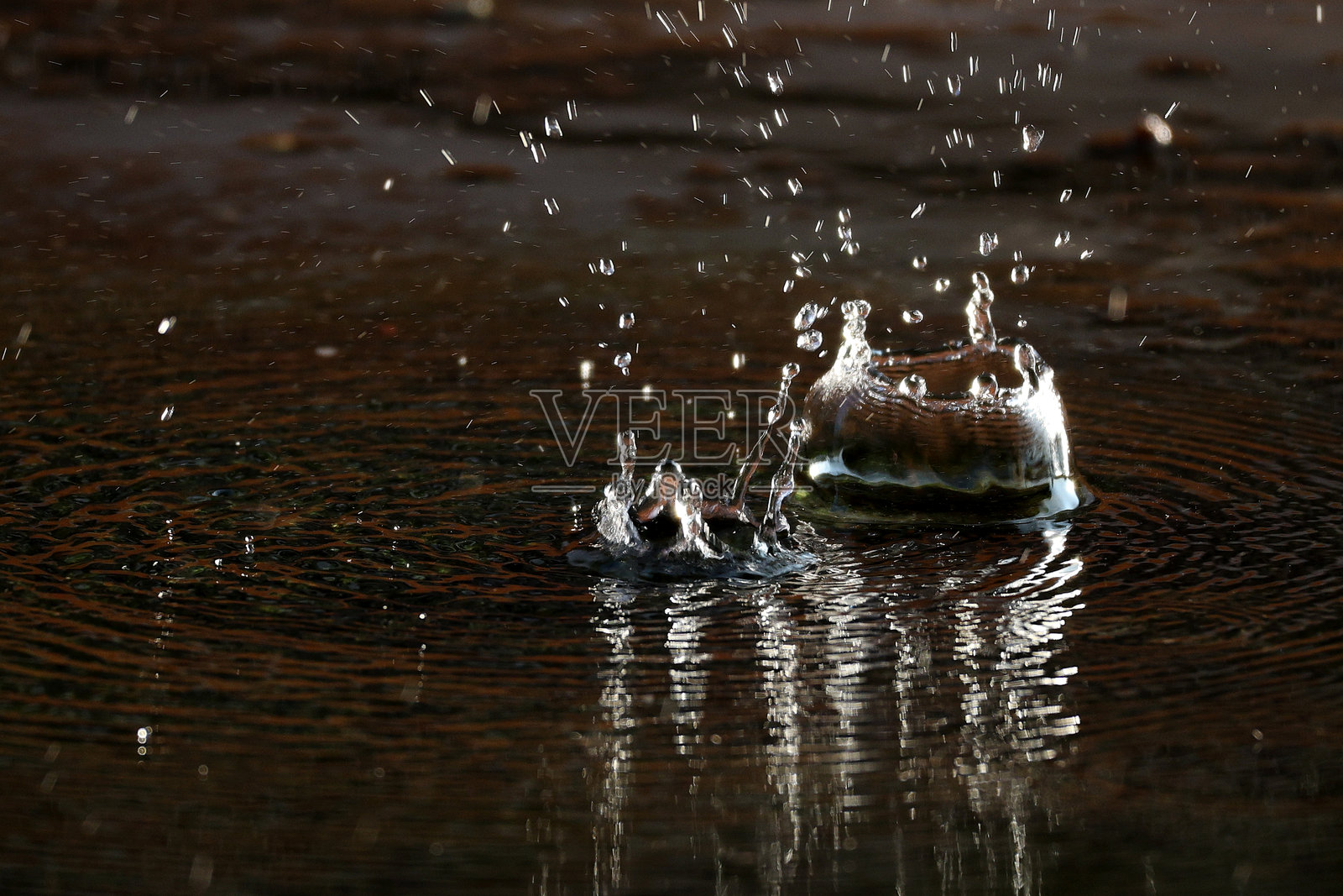 自然照片摄影图片