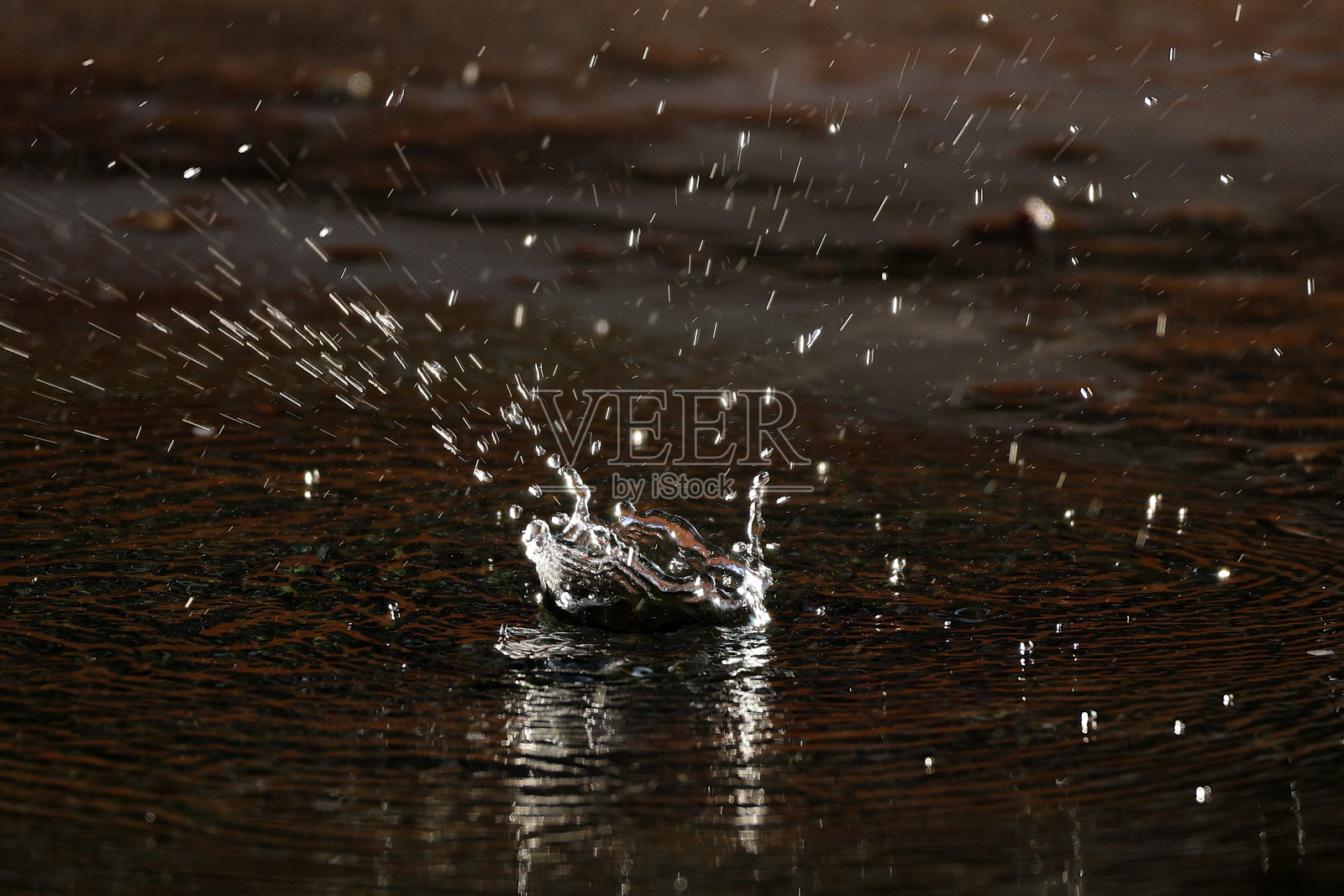 自然照片摄影图片