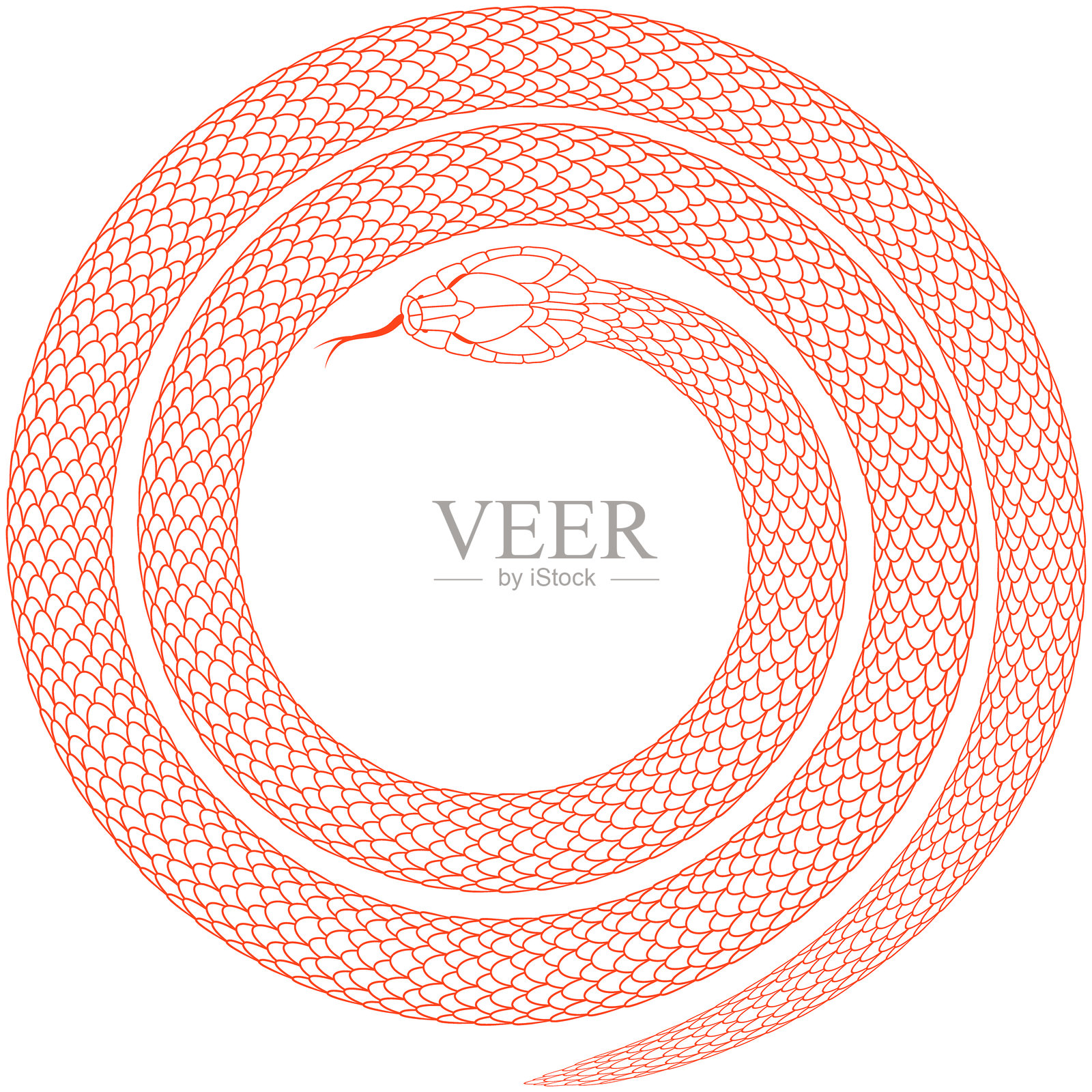 卡通蛇纹理带红色线条勾勒插画图片素材