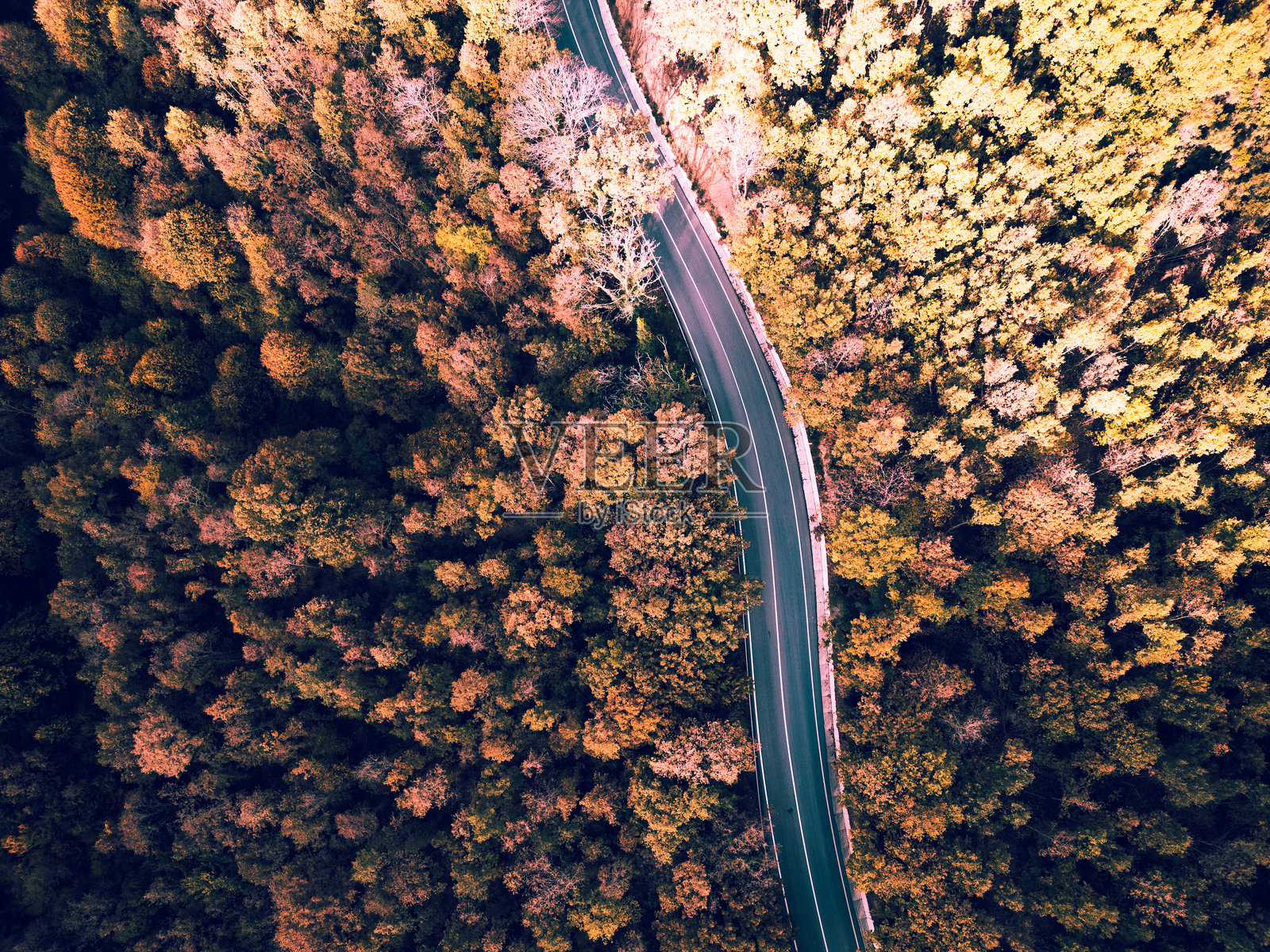 秋季图案的森林道路鸟瞰图照片摄影图片