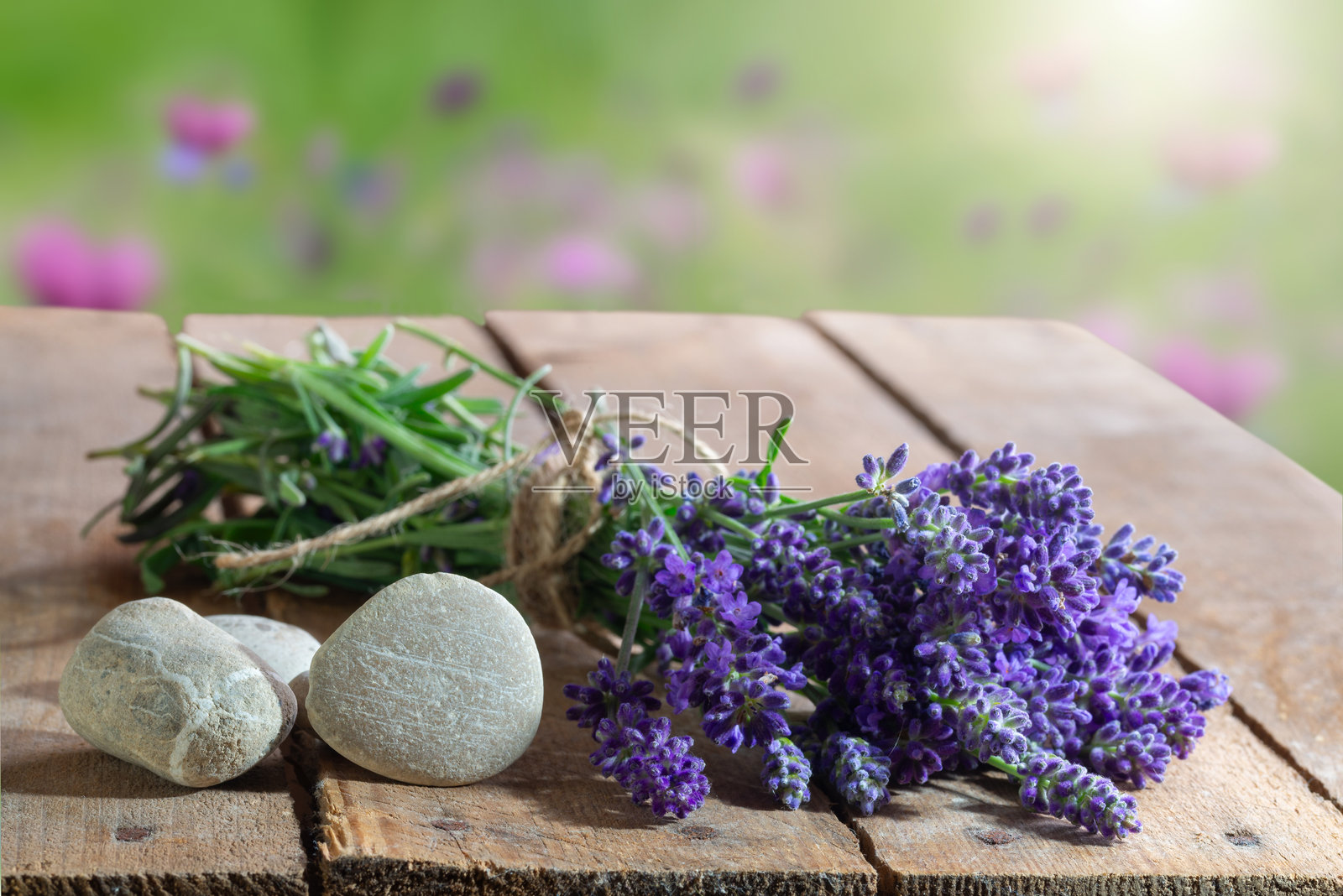 薰衣草花束,留白空间照片摄影图片