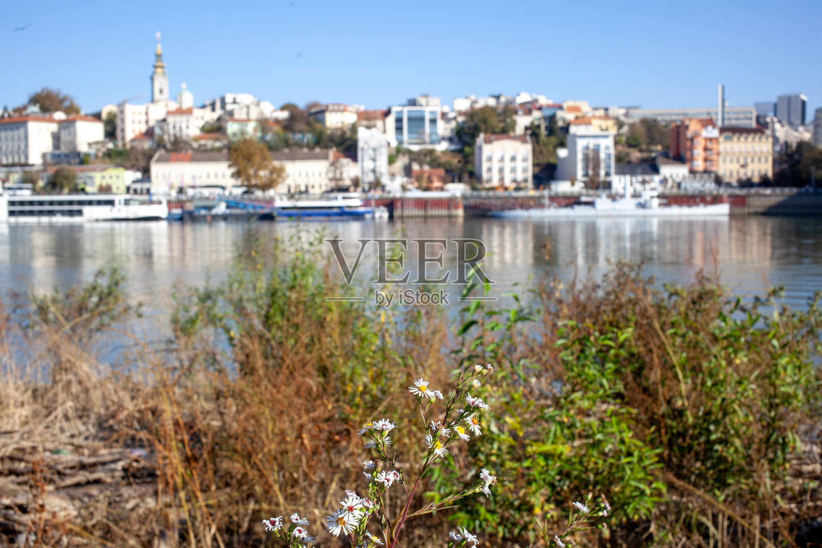 从萨瓦河岸俯瞰贝尔格莱德老城照片摄影图片