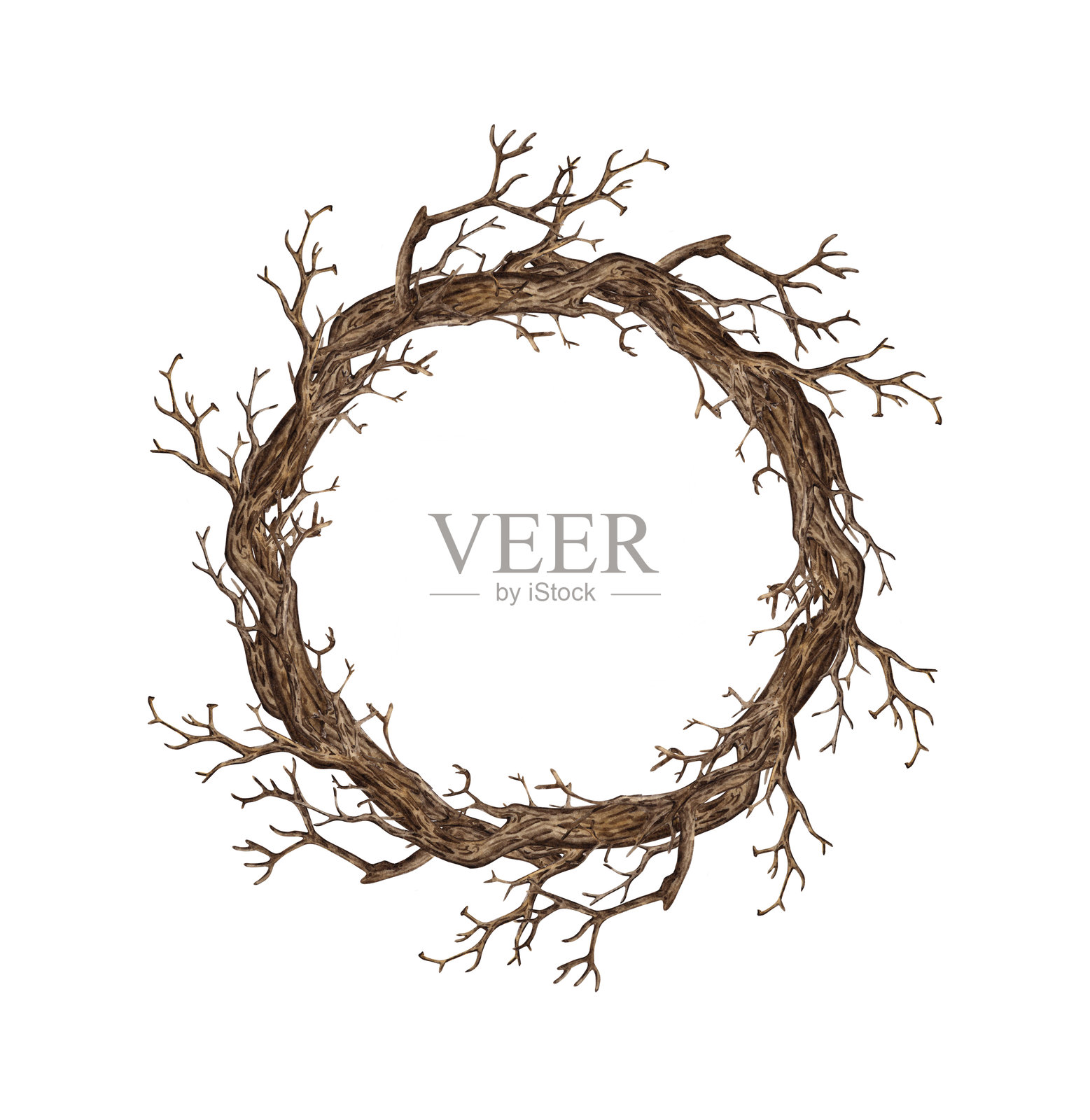 干树枝框架的花环水彩画插画图片素材