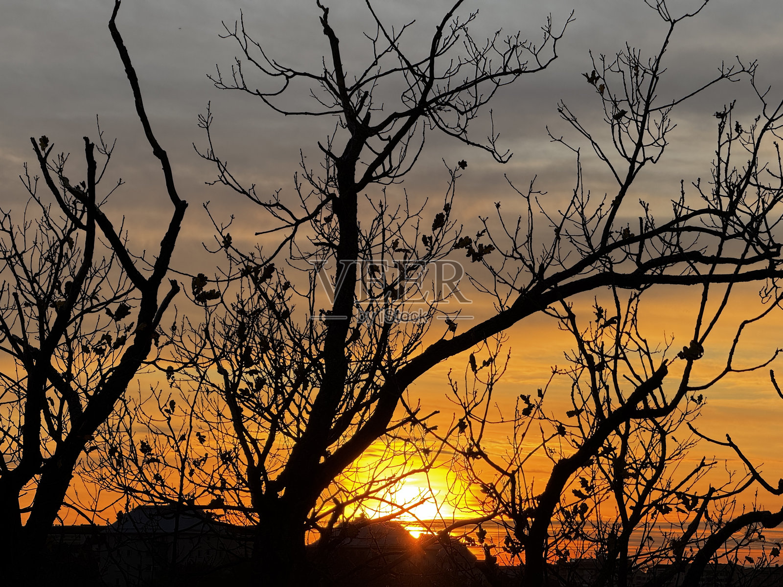 日落时分的房屋和树木剪影照片摄影图片