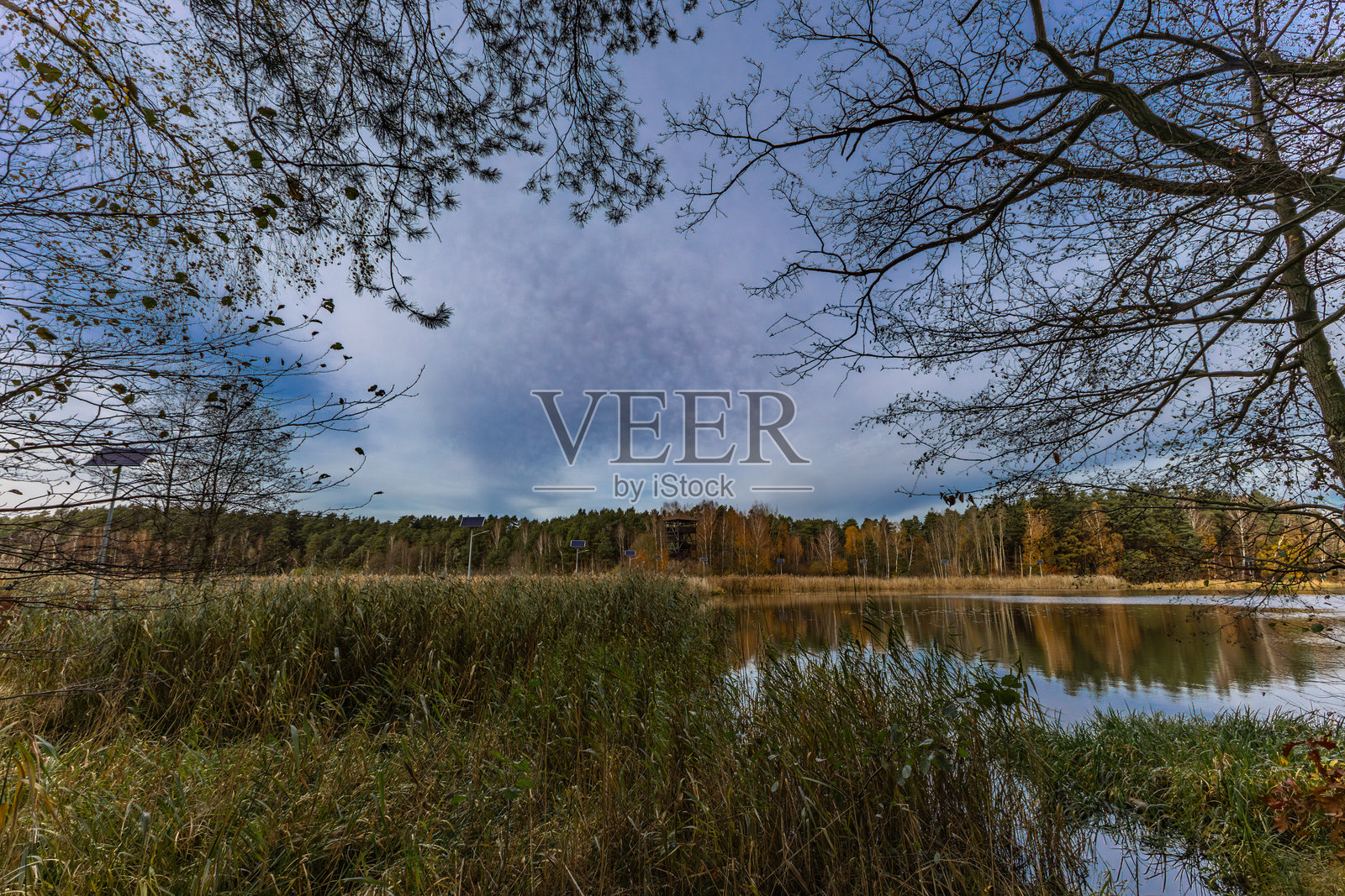 秋天在布拉霍夫尼亚湖边小径散步照片摄影图片