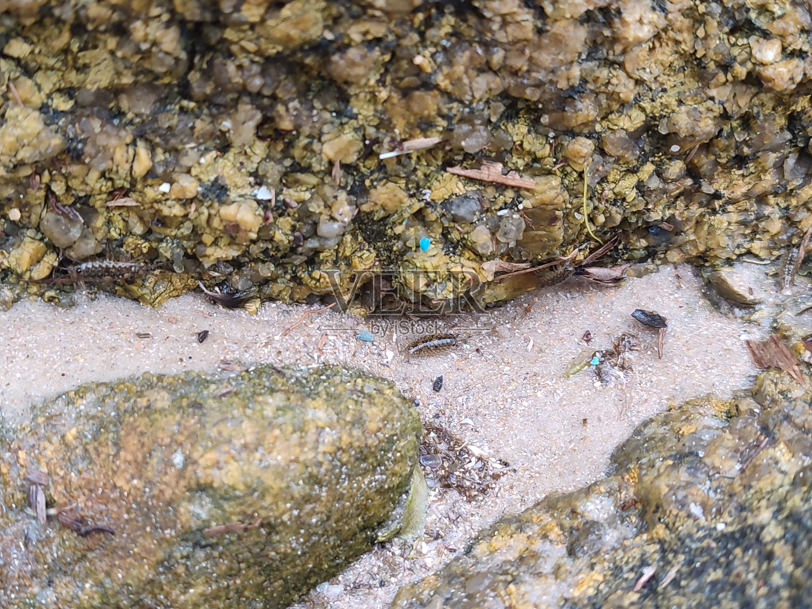 普拉亚格兰德海滩的岩石与海洋照片摄影图片