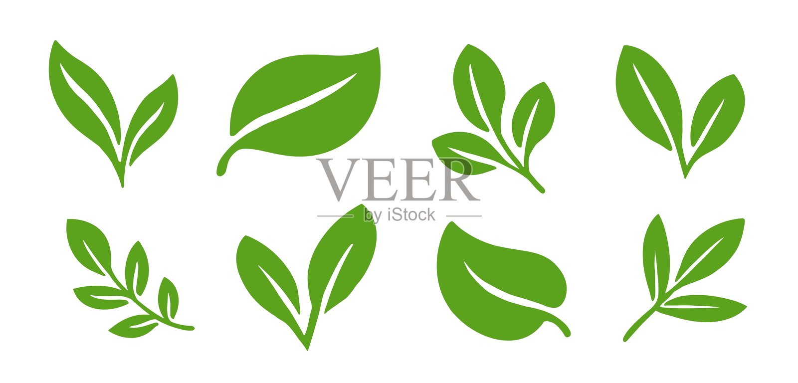 生态叶子标志图标集。绿色叶子平面形状。健康食品、生物、素食、有机产品概念设计。插画图片素材