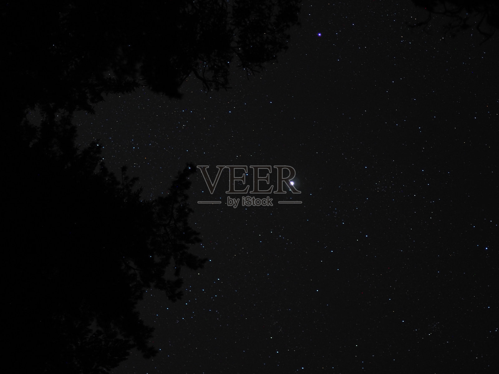 令人惊叹的星空,星座清晰可见,照耀着树木的轮廓,带来对宇宙的奇妙与广阔的感受。照片摄影图片