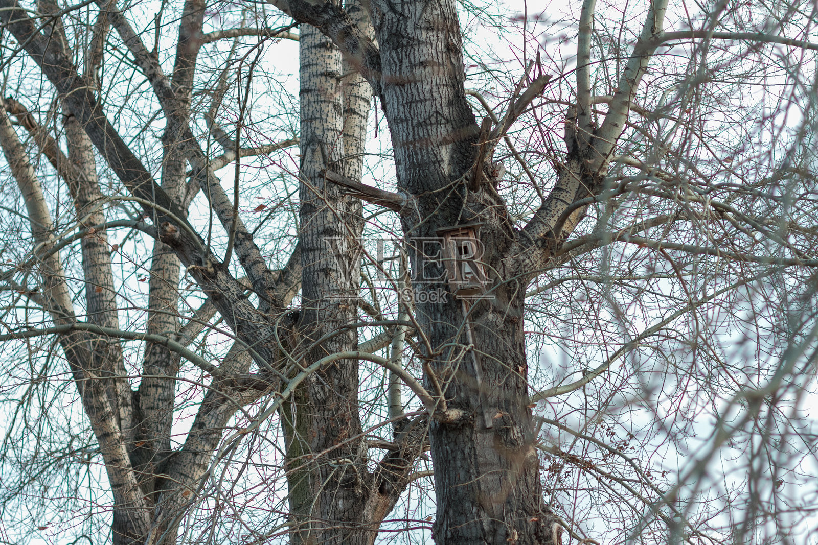 秋天的氛围照片摄影图片