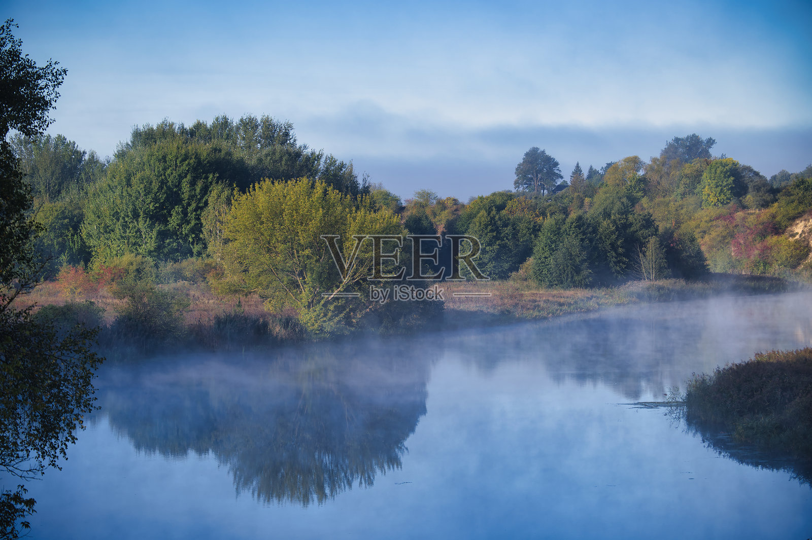 生机勃勃的绿色树叶映照在宁静的雾气笼罩的湖面上,唤起宁静与自然之美。照片摄影图片