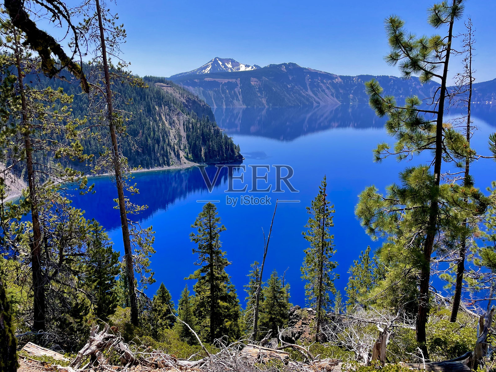 俄勒冈州树木间的火山口湖照片摄影图片