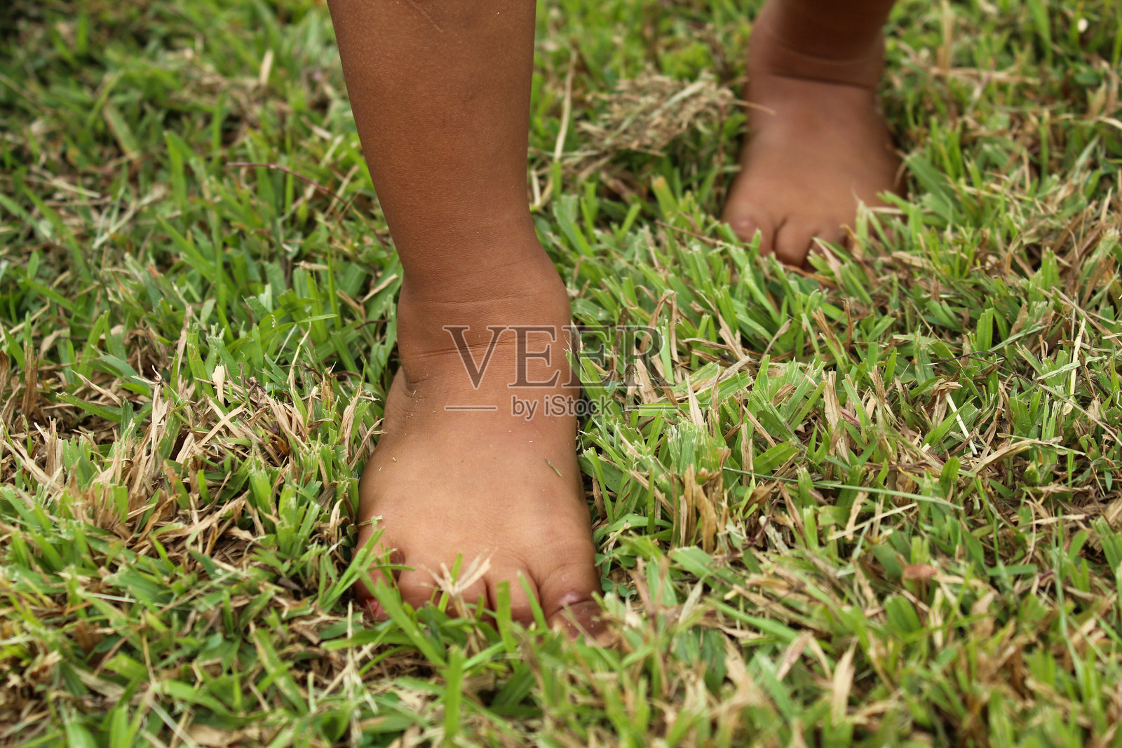 小男孩的脚踩在草地上特写。孩子在草地上玩耍。训练脚部感知。赤脚。照片摄影图片