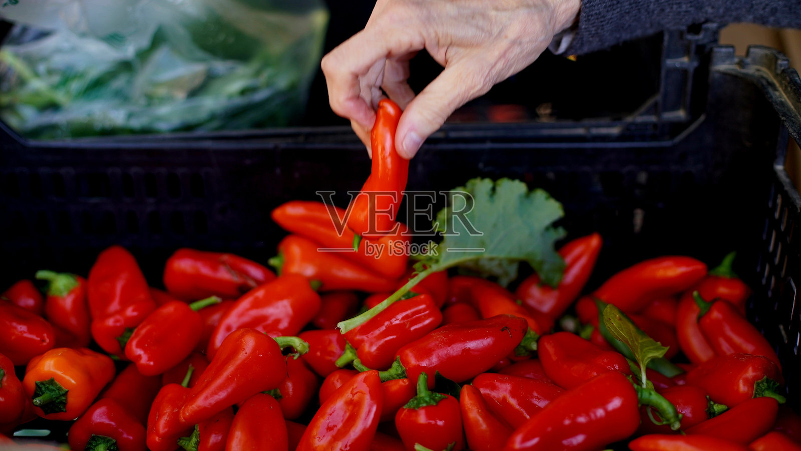 一位老妇人的手从农贸市场的塑料箱中挑选红辣椒。照片摄影图片
