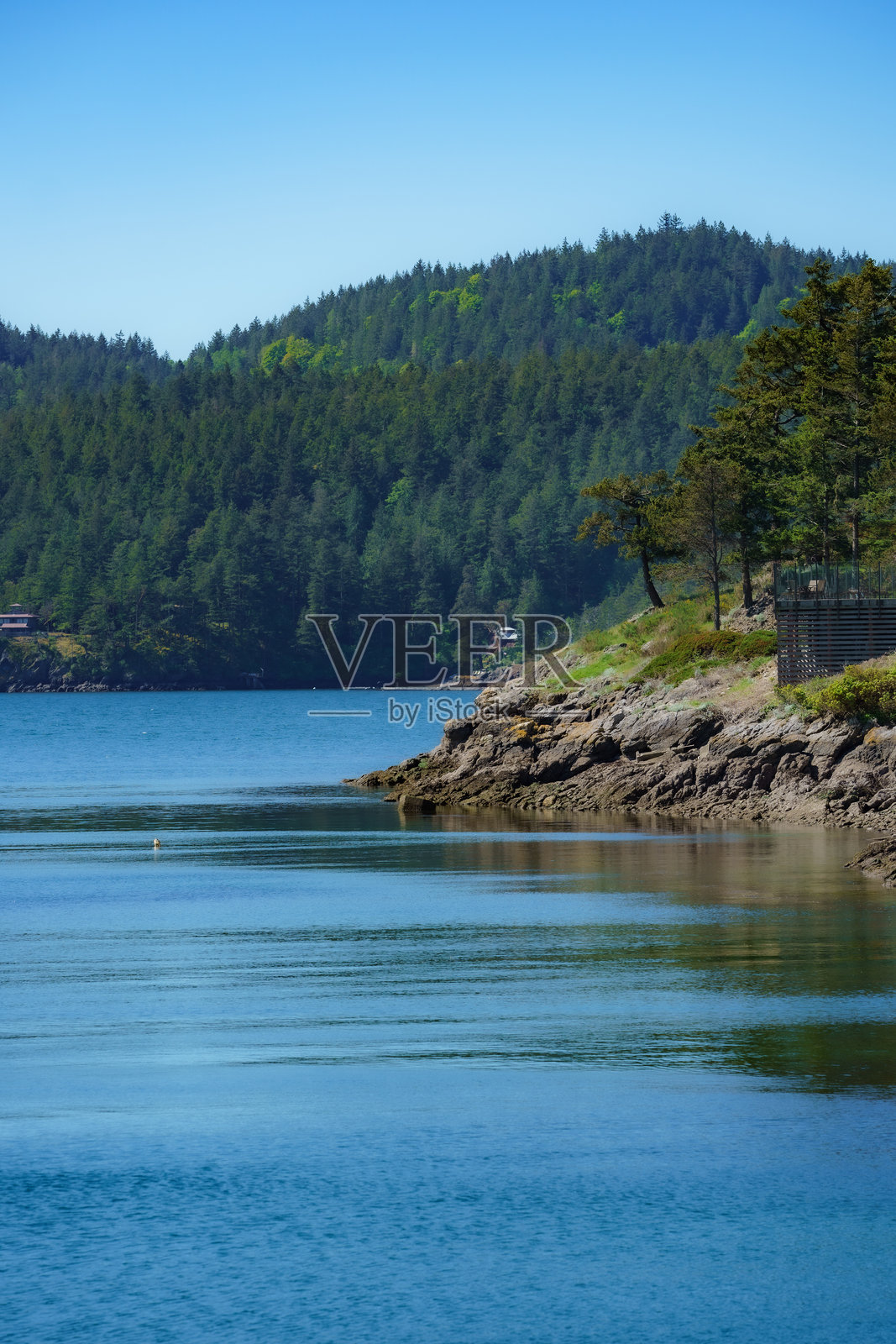 太平洋西北海滩风景,海洋。夏季。华盛顿州奥卡斯岛。照片摄影图片