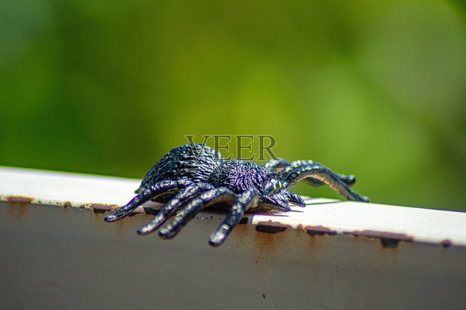 一只黑色玩具蜘蛛的细致特写,具有复杂的纹理,放置在白色表面上。非常适合万圣节装饰或教育昆虫展示。照片摄影图片