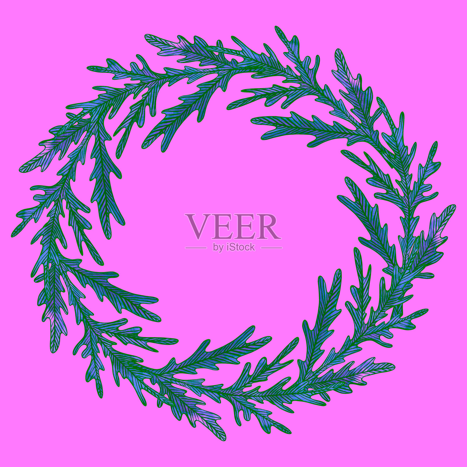 洋甘菊生机勃勃的绿色叶子水彩插图。雕刻叶子、植物和绿叶的花环。春夏植物画,白色背景上的孤立圆形。插画图片素材