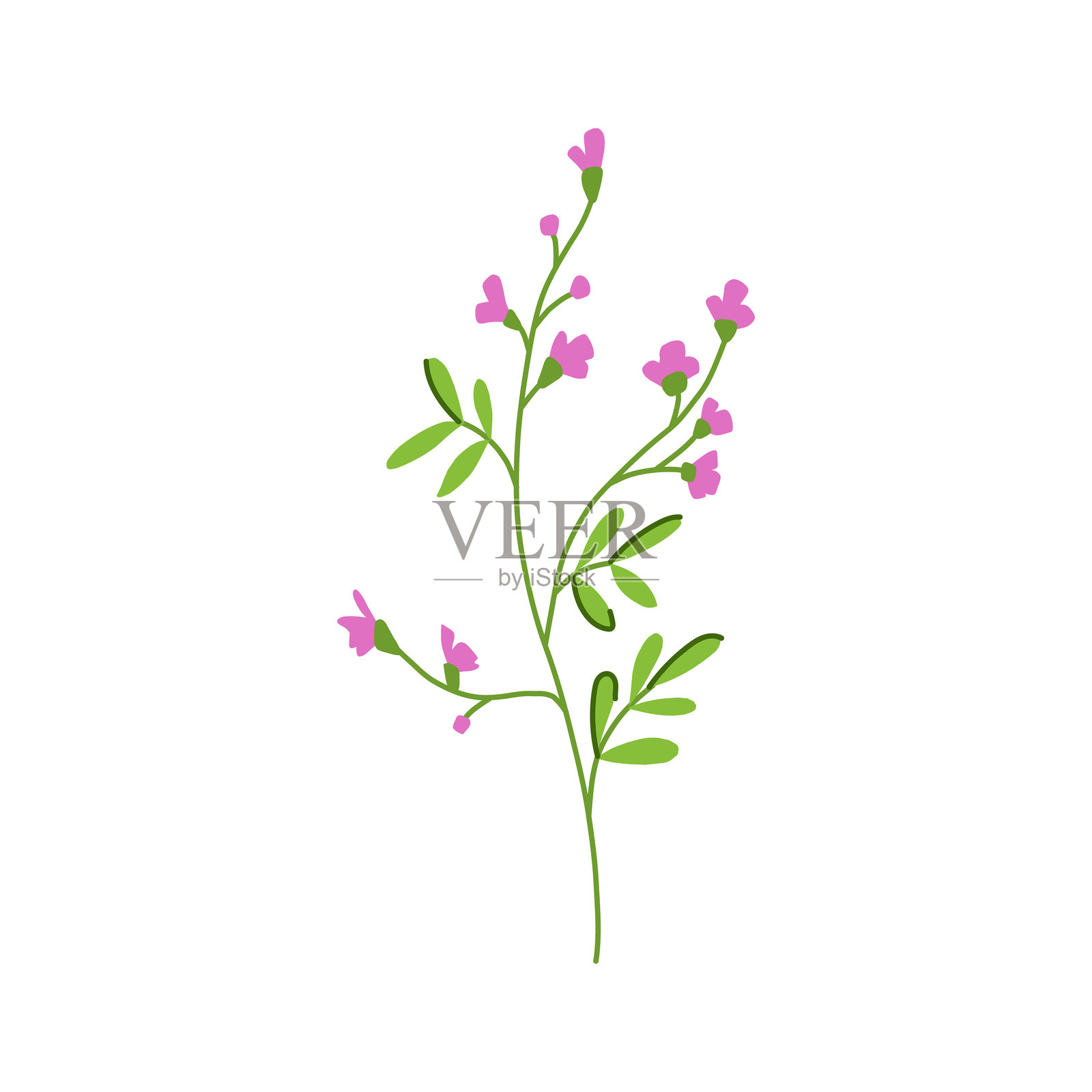 卡通花卉花枝矢量插图插画图片素材