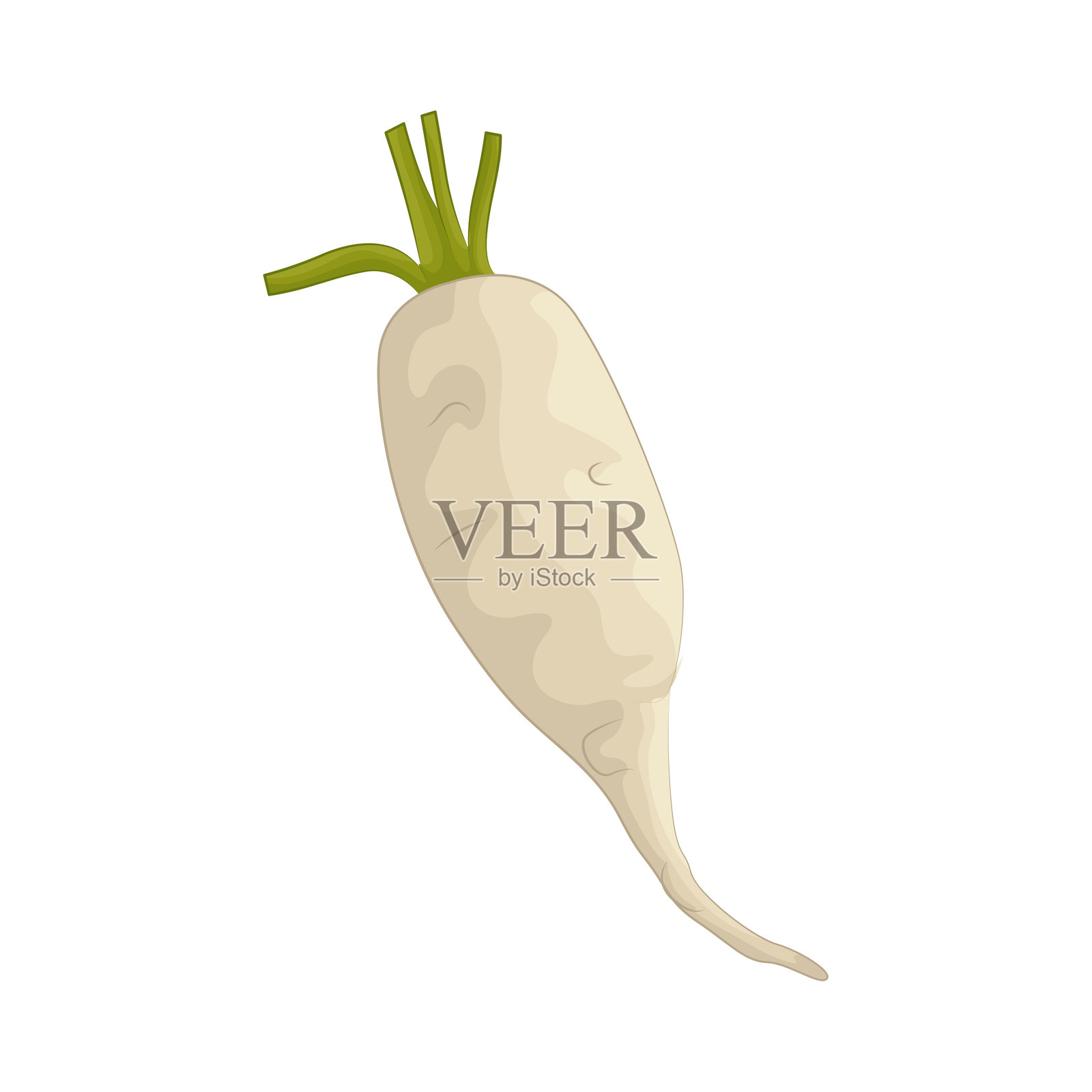 白萝卜插画图片素材