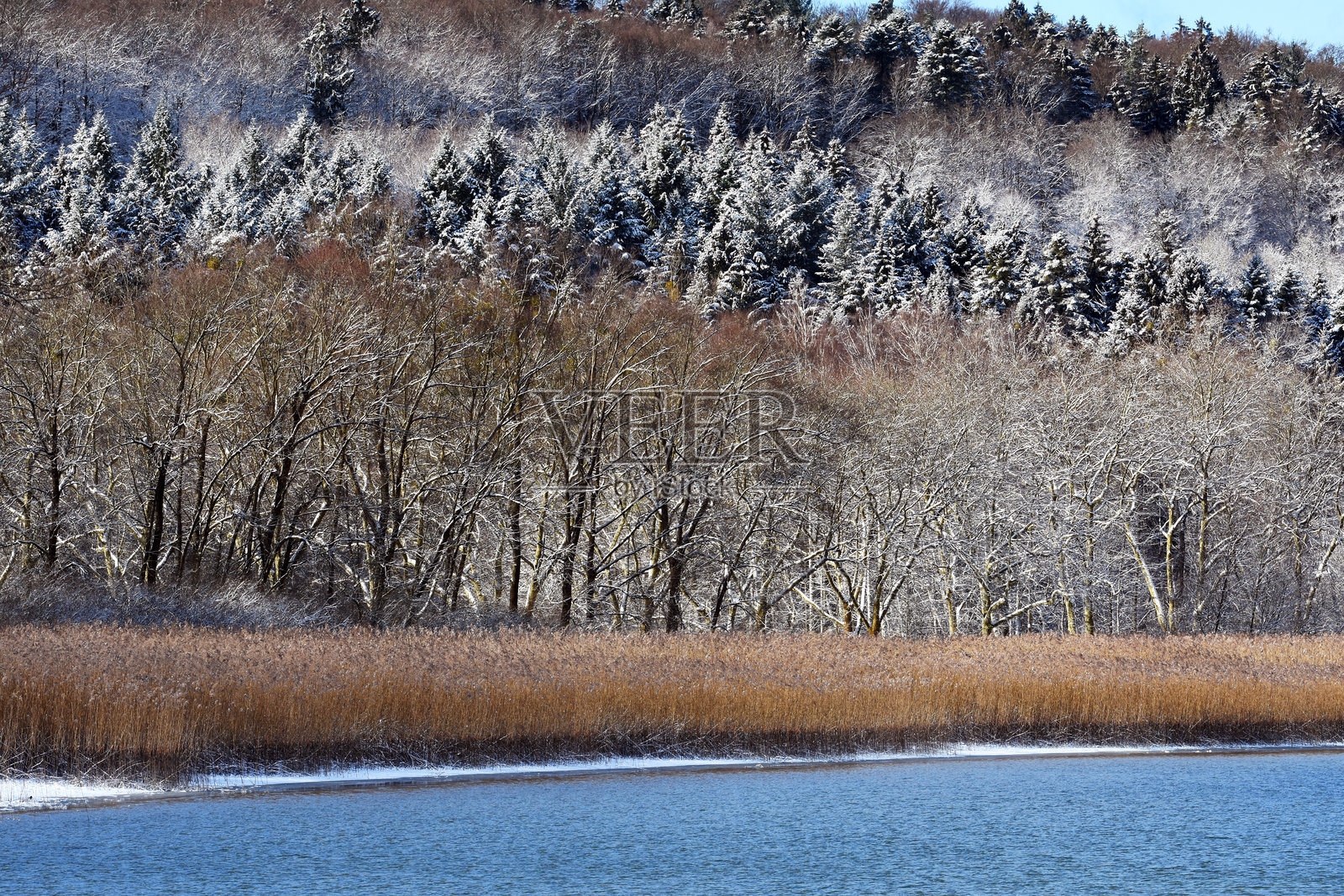 博登湖冬季的海岸照片摄影图片