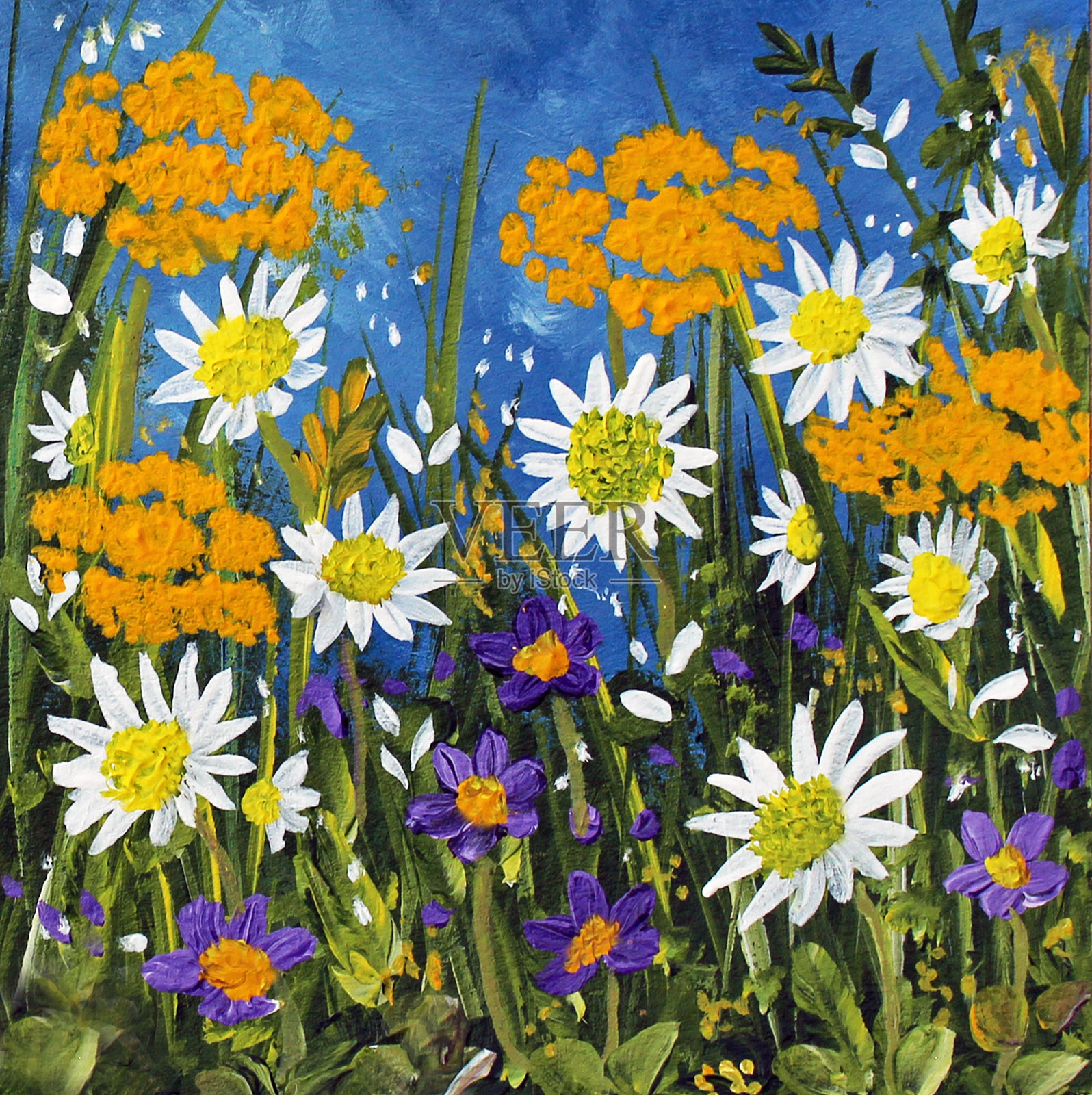 野花 #2插画图片素材