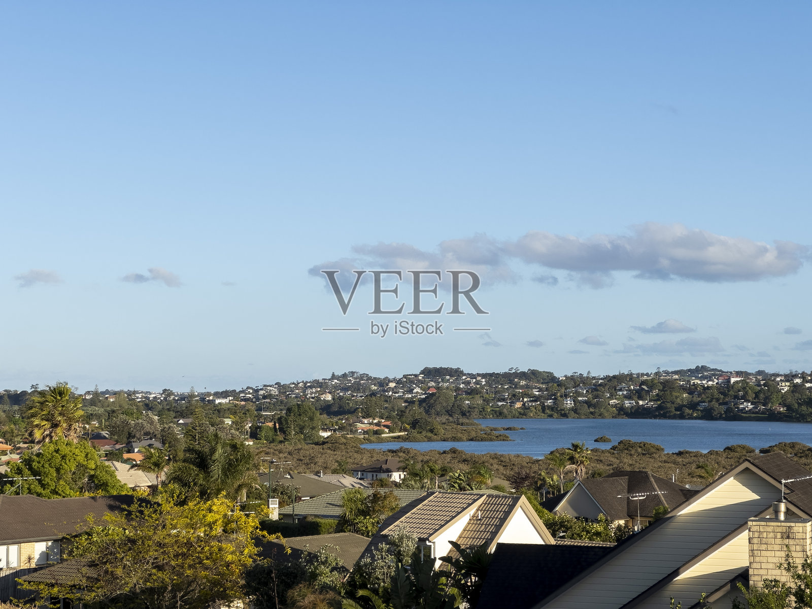 新西兰奥克兰的住宅照片摄影图片