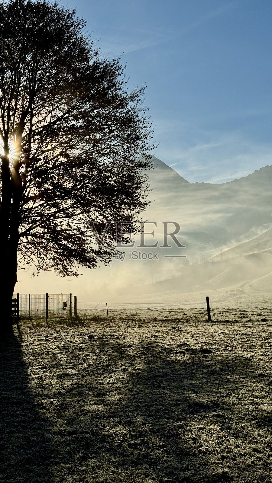 山谷的清晨,晨光照亮了山坡,穿透了树枝。照片摄影图片