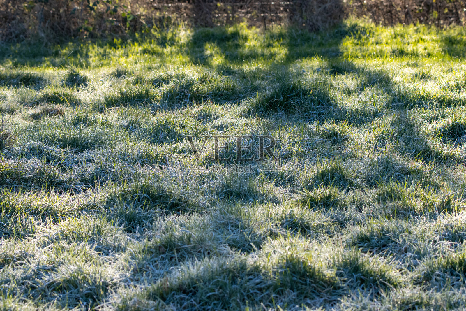 冬季银色冰冻草地,光影交错照片摄影图片
