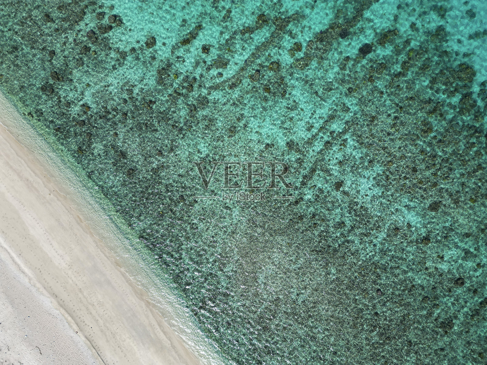 珊瑚礁照片摄影图片