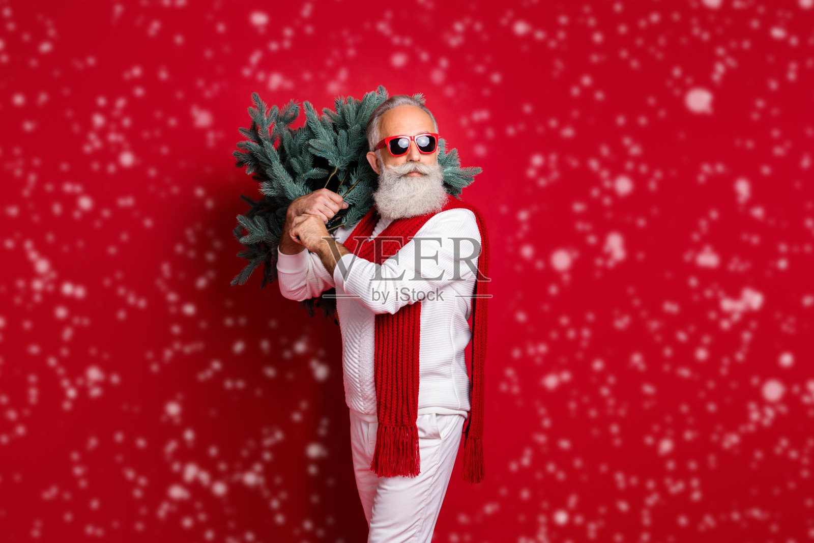 一位迷人、英俊、阳刚、强壮的灰发男士,穿着毛衣,手持庆祝装饰品,背景为明亮鲜艳的红色。照片摄影图片