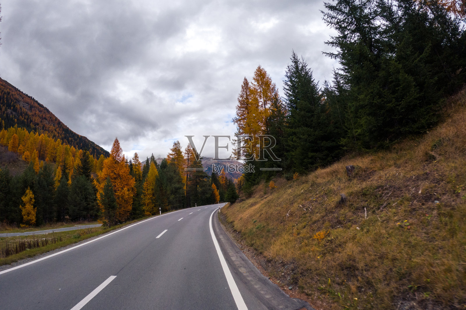 秋天的道路穿过森林山谷照片摄影图片