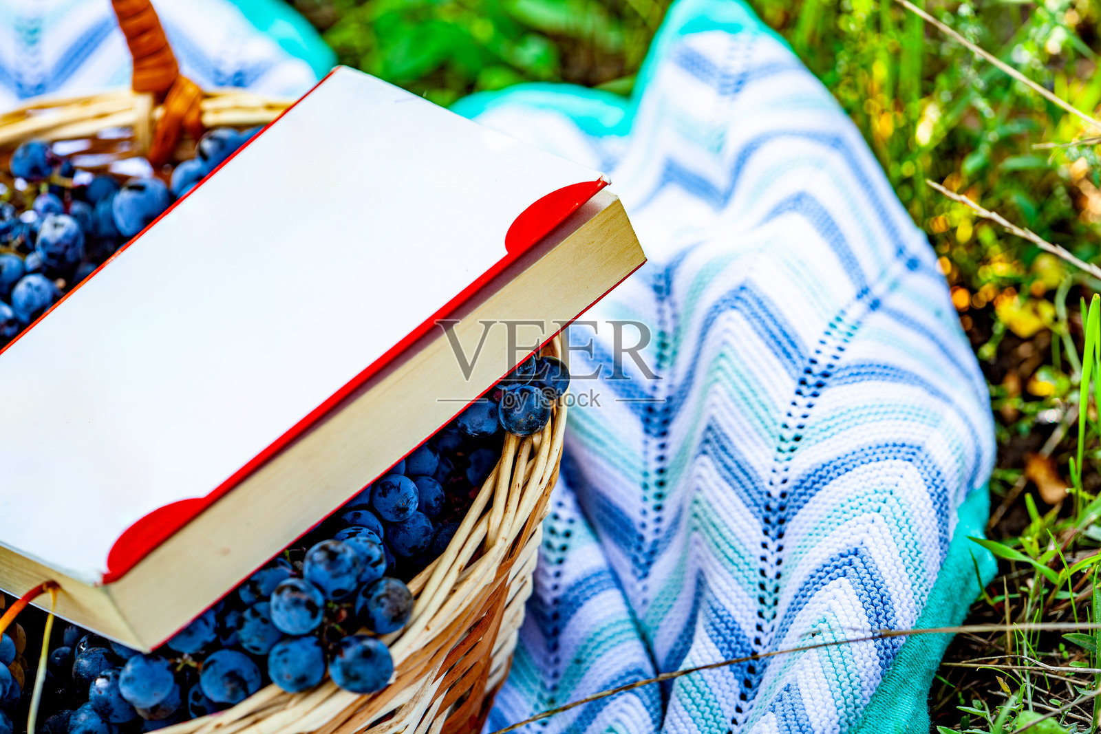 一篮子满是葡萄的葡萄园照片,蓝色地毯上的野餐,旁边有葡萄和一本书。照片摄影图片