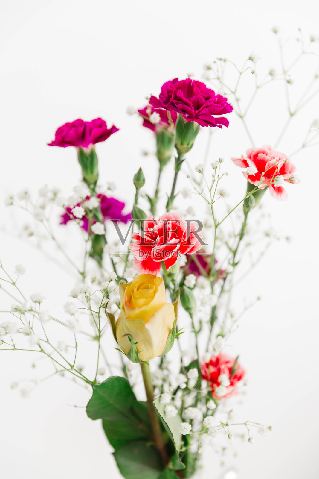 康乃馨、满天星和玫瑰花束照片摄影图片