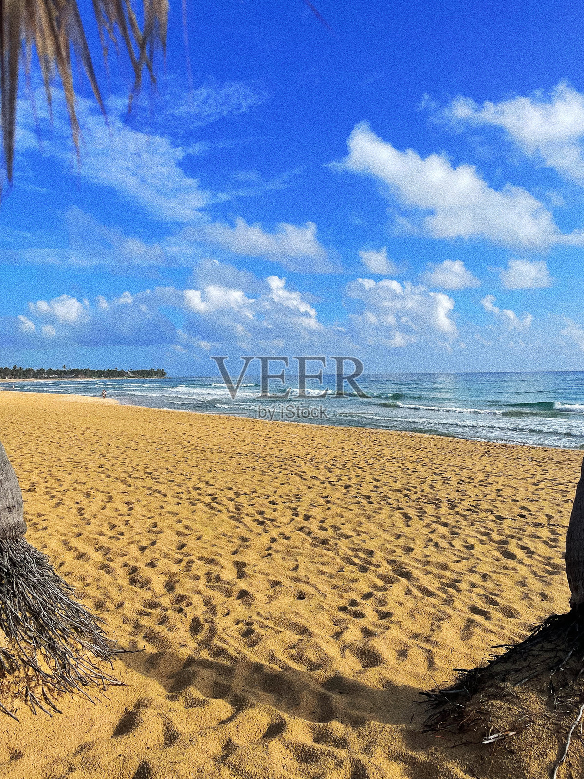 海滩照片摄影图片