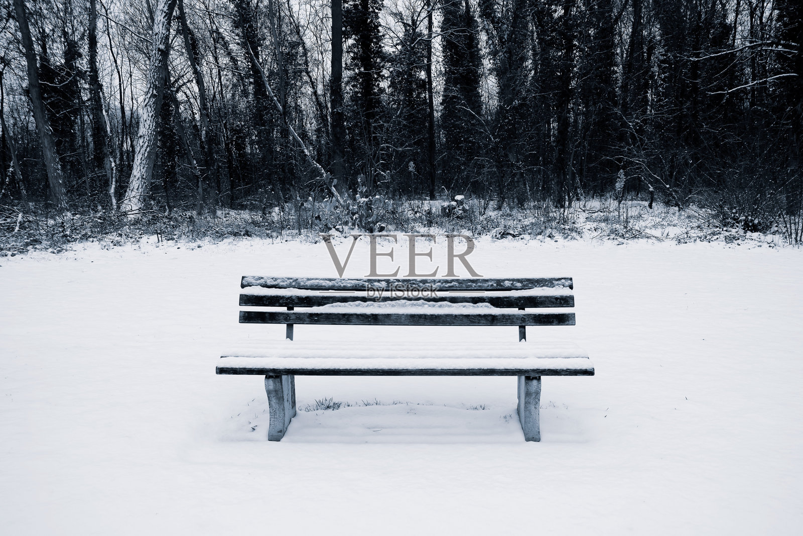 冬季公园里的空长椅照片摄影图片