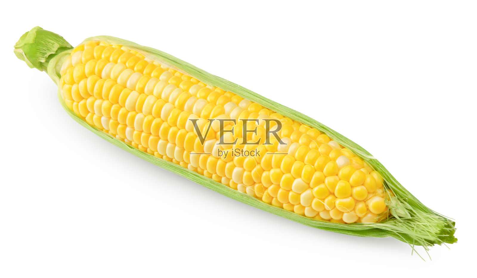 新鲜的玉米棒,白色背景,带剪切路径。照片摄影图片