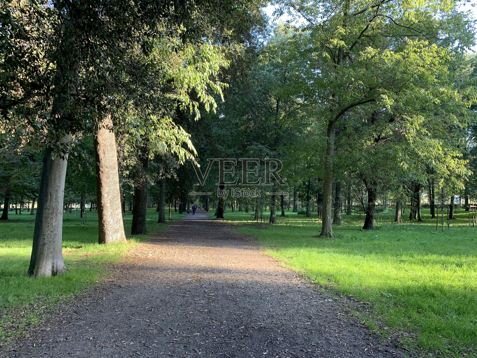 意大利佛罗伦萨的卡西尼公园。照片摄影图片