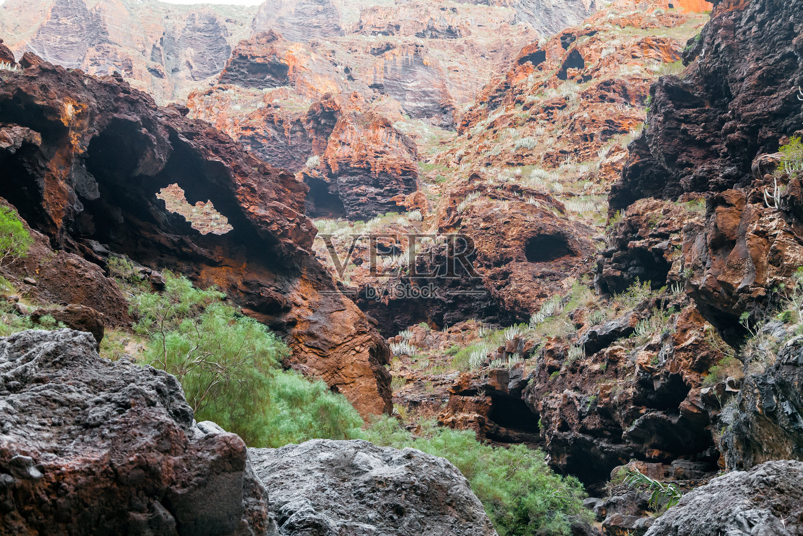 马斯卡峡谷从马斯卡峡谷步道的视角照片摄影图片