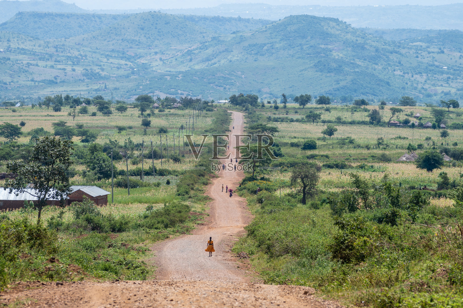 坦桑尼亚一片田野上的一组茅草屋,背后是山脉。照片摄影图片