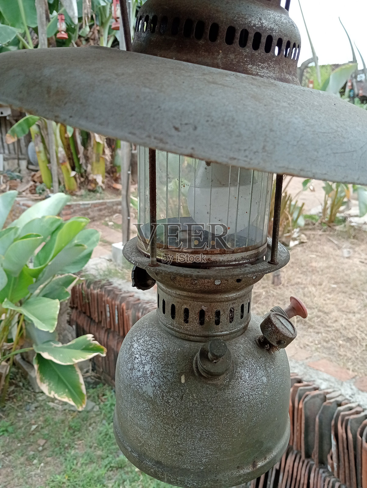 花园环境中的复古悬挂灯笼照片摄影图片