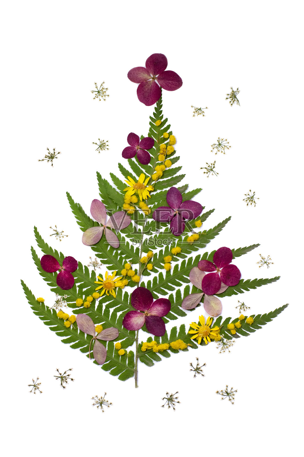 圣诞节和新年的贺卡。照片摄影图片