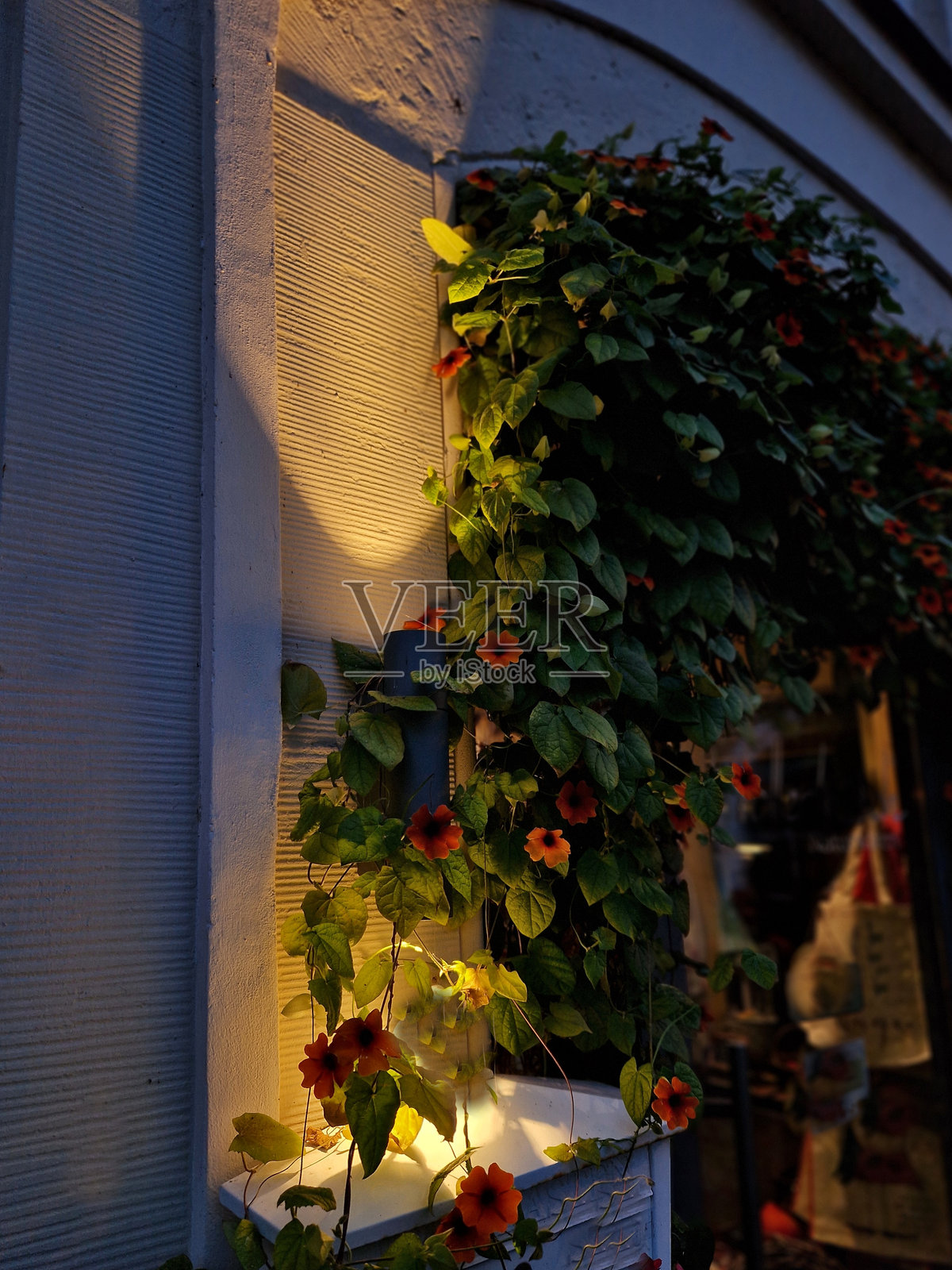 壁灯在夜晚以锥形光束照亮房屋外立面的墙壁。黑色的晚间定位和导航灯在石笼墙上向两个方向发光,表面涂有粉末涂料。照片摄影图片