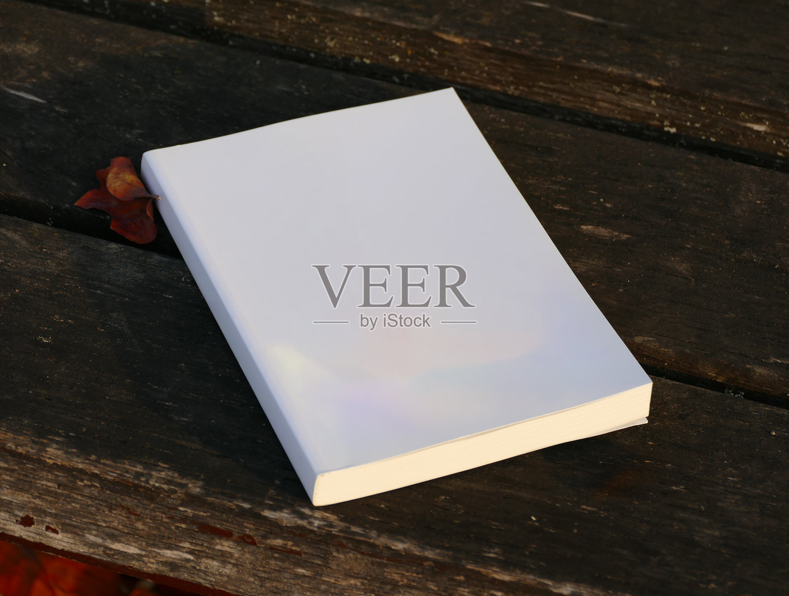 一本崭新的白色书籍静静地放在一张风化的木长椅上。书籍样本。照片摄影图片