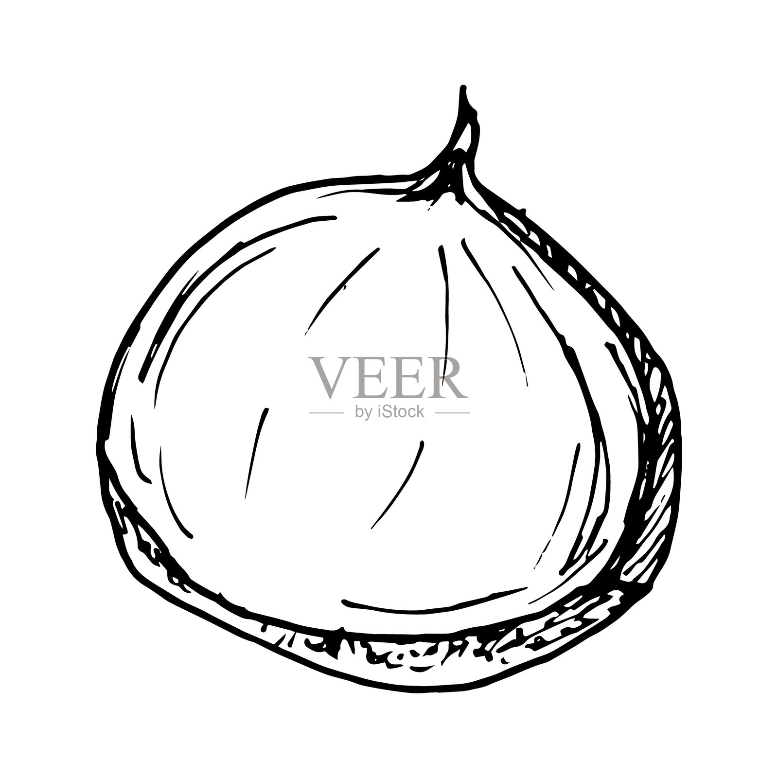 栗子黑白矢量手绘墨水插图,细致的线条强调自然纹理。非常适合季节性或自然主题设计、生态产品、秋冬装饰、菜单等。插画图片素材