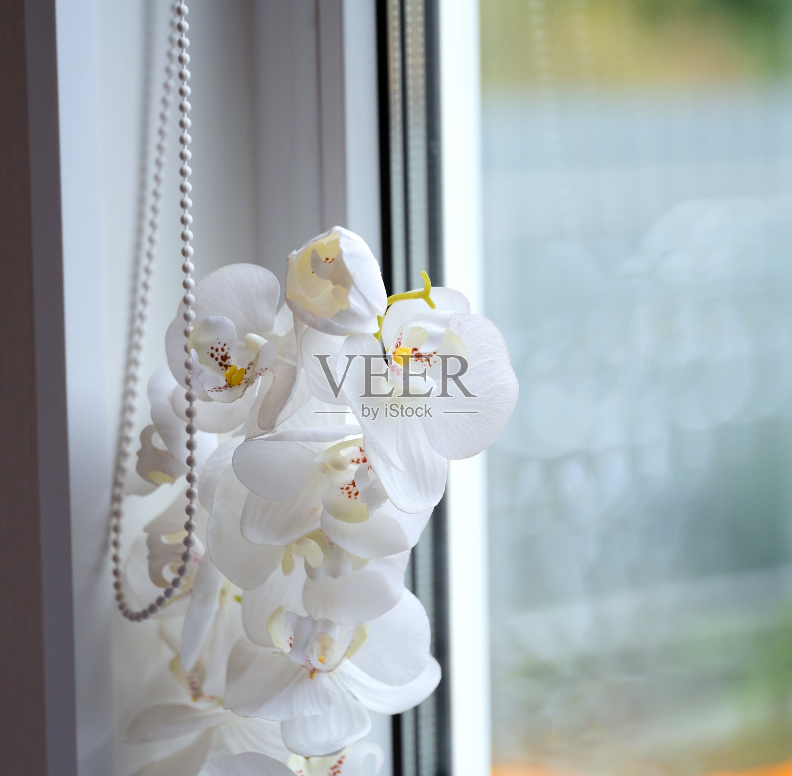 窗台上的人造白色兰花。照片摄影图片